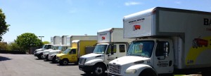 movers company winchester virginia
