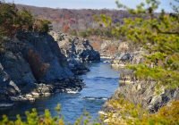 Potomac